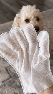 Pet glove wipes