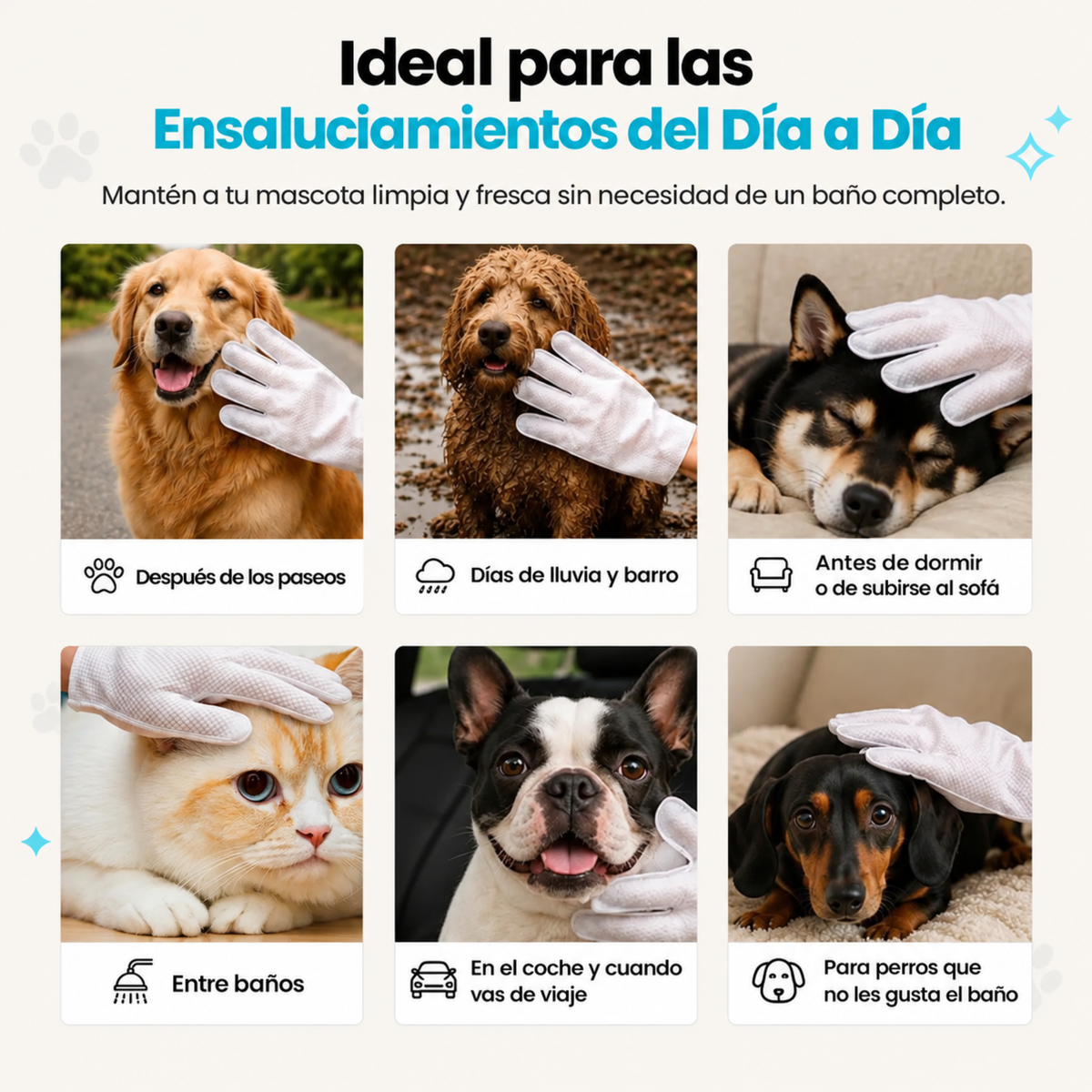 Pet glove wipes